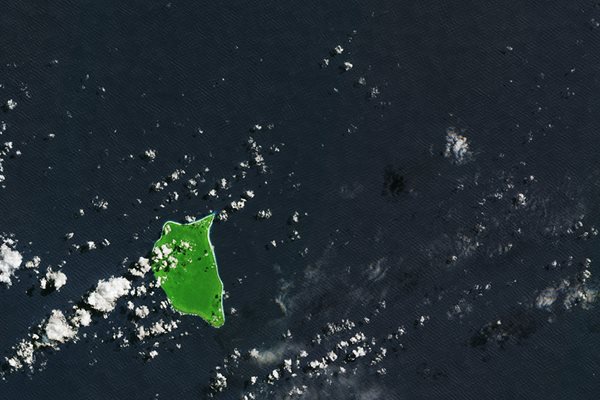 Satellite image of Henderson Island - courtesy of the European Space Agency