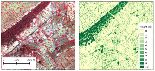 Hyperspectral data shown as false colour composite to emphasise vegetation in red (left) and LiDAR derived canopy height model.