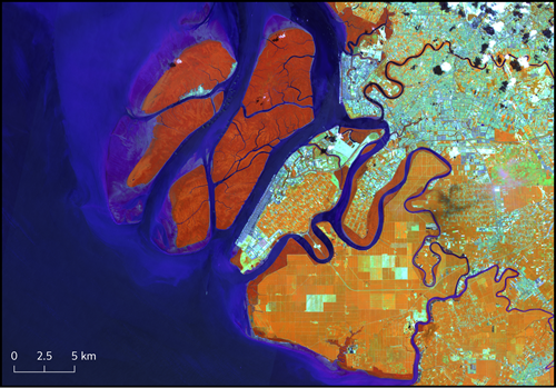 A false colour composite of the Klang Islands, Malaysia. At infra-red wavelengths differences between mangroves and plantation are more obvious