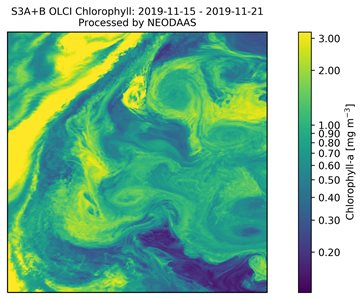 weekly composite of chlorophyll from the OLCI sensor onboard Sentinel 3A and Sentinel 3B